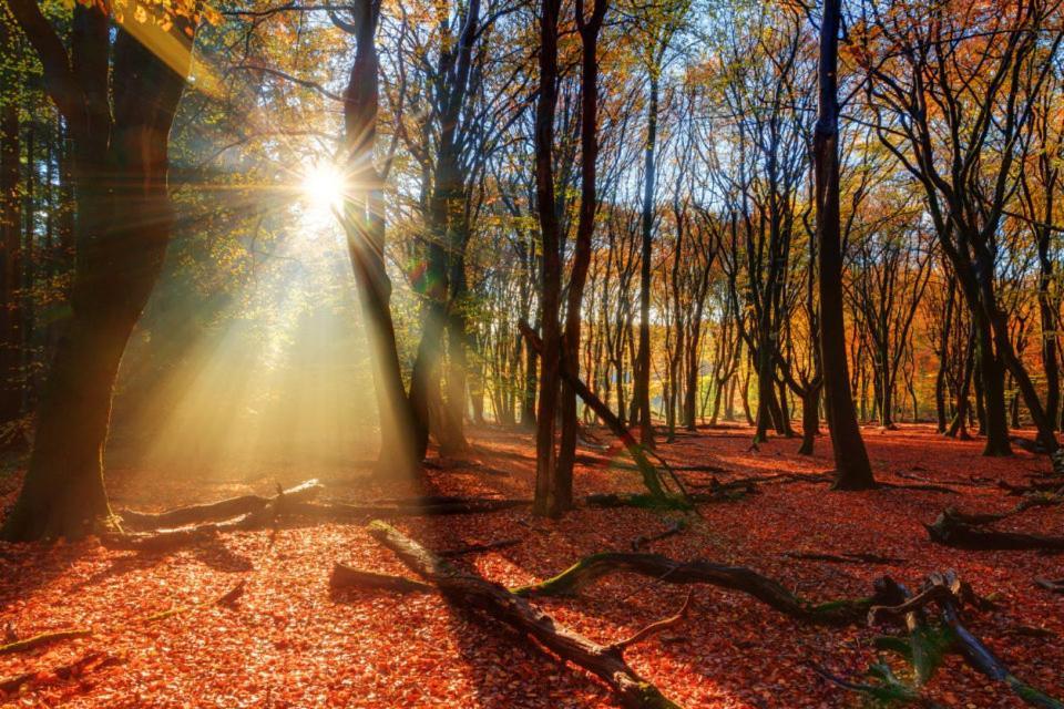 פוטן Enjoy Nature, Nice Stay And Beautiful Surroundings מראה חיצוני תמונה